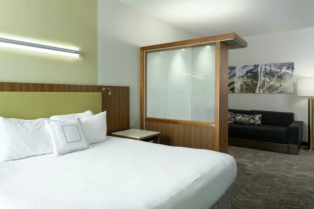 Suite, SpringHill Suites Philadelphia Airport/Ridley Park 1/1