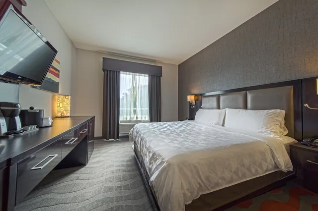 غرفة قياسية بسرير كينج، Holiday Inn & Suites Houston West - Westway Park, an IHG Hotel 1/10