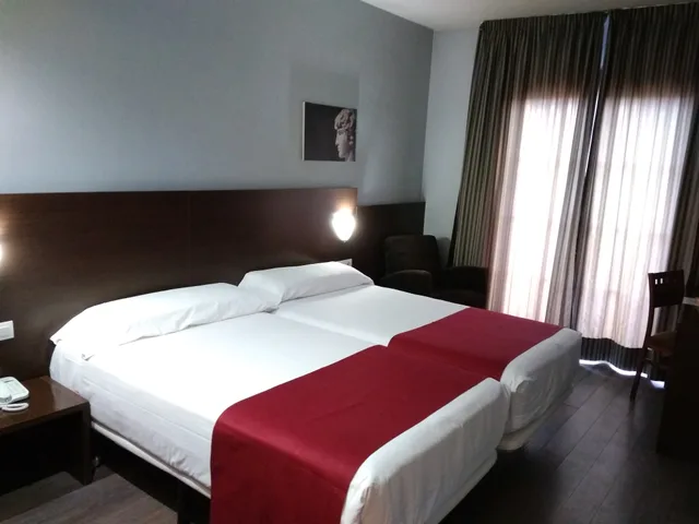 غرفة مفردة بسرير مزدوج، Canal Olimpic Hotel 1/2