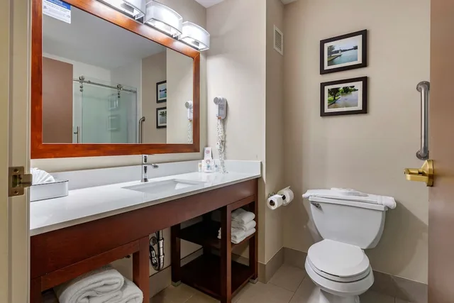 جناح بسرير كينج مع أريكة، Comfort Inn & Suites Geneva - West Chicago 9/10