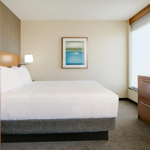 Specialty, King Bed, Sofa، Hyatt Place Kansas City Lenexa City Center 2/3