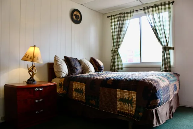 Standard, Queen Bed, The Motel Montreal 3/3