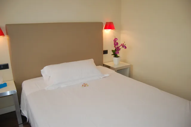 Double Single Use Standard، Hotel Roma Tor Vergata 1/1