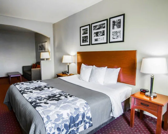 جناح بسرير كينج مع أريكة لذوي الإعاقة، Sleep Inn & Suites New Braunfels TX 1/3