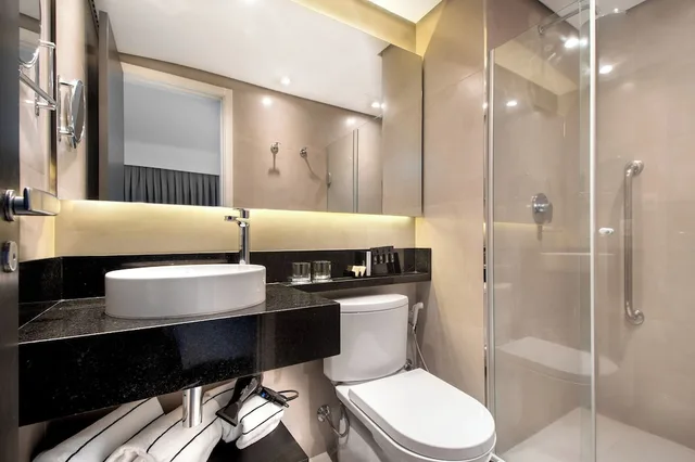 غرفة ديلوكس بسريرين منفصلين، Melia Ibirapuera 3/4