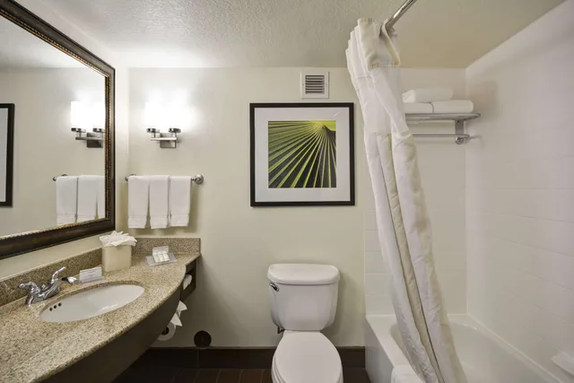 غرفة قياسية بسرير كينج، Hilton Garden Inn Sarasota-Bradenton Airport 6/10