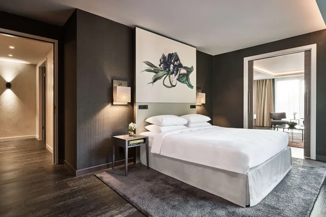 جناح، Hyatt Regency Amsterdam 3/5