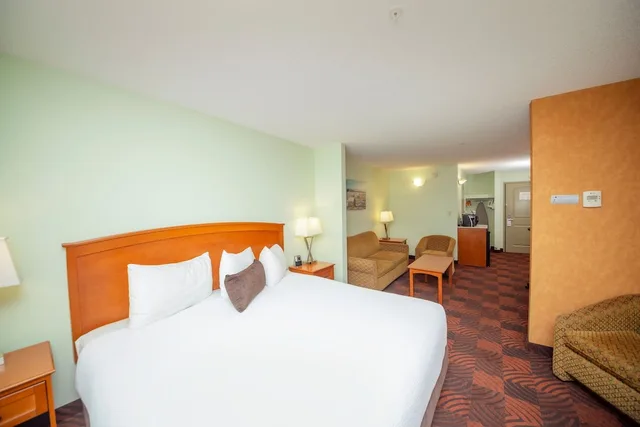 غرفة قياسية مفردة بسرير كينج مع أريكة، Service Plus Inns and Suites Calgary 2/3