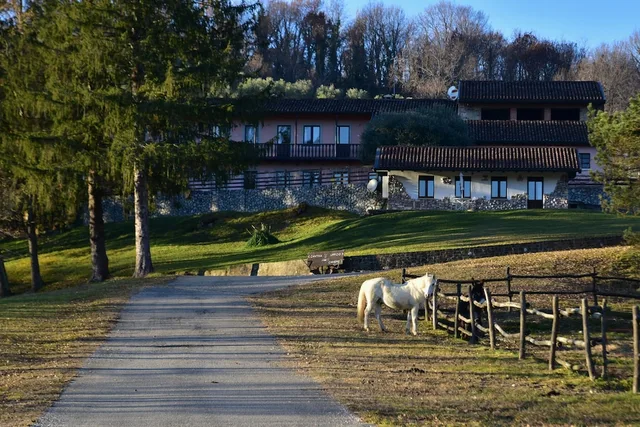 Tenuta Valdomini، Udine 33/50