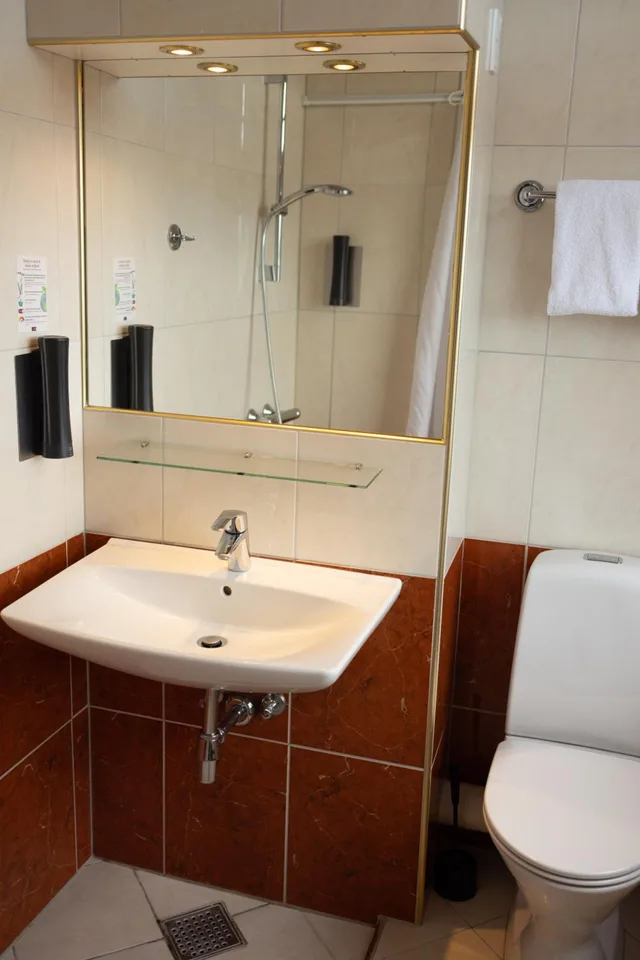 غرفة بسرير مزدوج أو سريرين منفصلين مع سرير إضافي، Milling Hotel Plaza 8/10