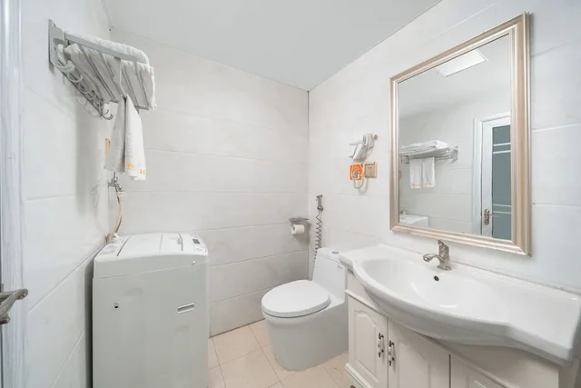 Business, Queen Bed, Yoyo International Apartment 6/10