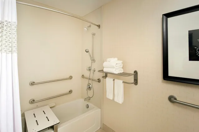 Room, King Bed, Accessible, Hampton Inn & Suites Chicago Southland Matteson 4/4