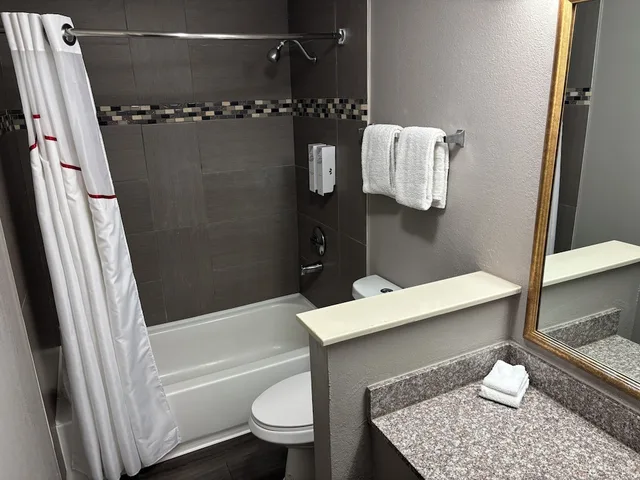 استوديو بسرير كينج، Red Roof Inn Birmingham - Highway 280 2/2