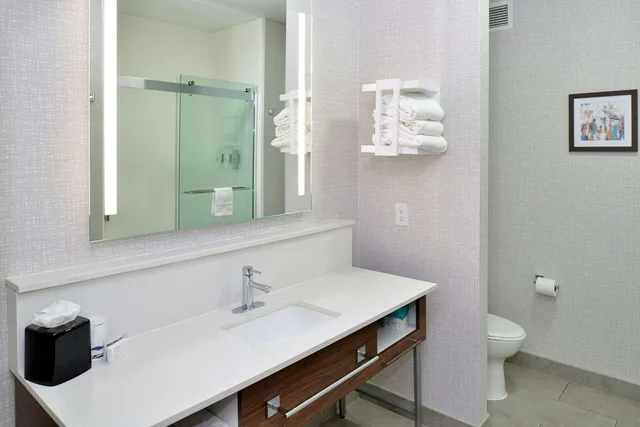 جناح استوديو بسرير كينج مع أريكة، Hampton Inn Suites Greenville 9/10