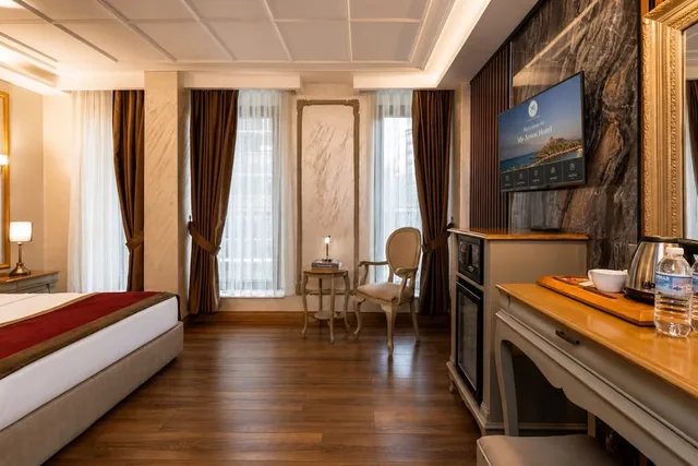 غرفة ديلوكس بسرير مزدوج، My Assos Hotel Istanbul 6/7
