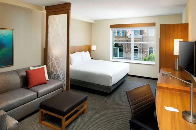 Specialty, King Bed, Sofa، Hyatt Place Sumter/Downtown 1/4