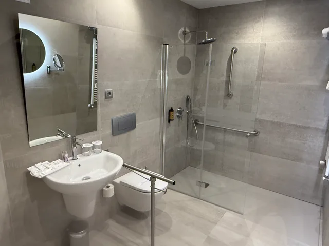 غرفة بسرير مزدوج أو سريرين منفصلين لذوي الإعاقة، Madeira Centro Hotel 7/10