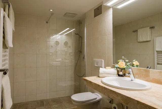 غرفة كلاسيكية بسرير مزدوج، Hotel Konig 2/2