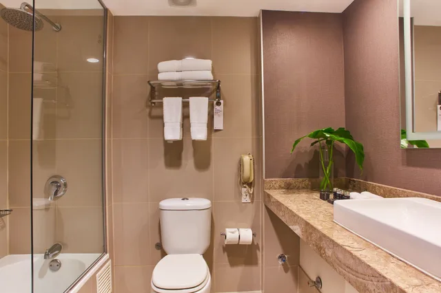 غرفة سوبيريور بسريرين كوين، Pullman Lima San Isidro 7/10