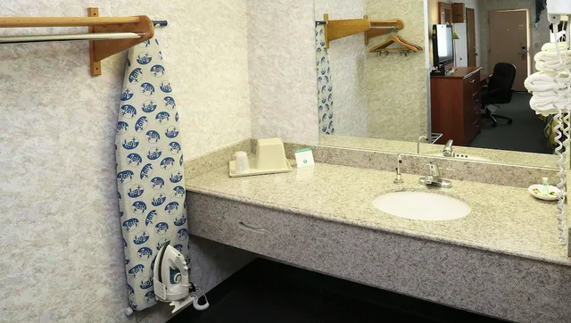 Room, King Bed, Allergy Friendly، Magnuson Hotel Howell/Brighton 4/5