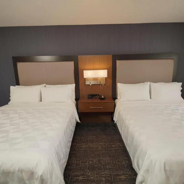 غرفة تنفيذية بسريرين منفصلين، Holiday Inn Hotel & Suites Chicago-Carol Stream(Wheaton) 1/1