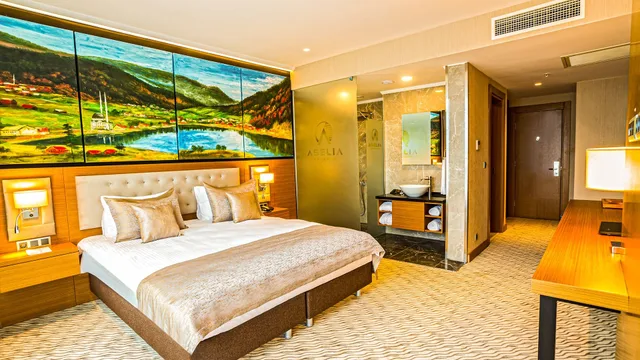 غرفة ديلوكس بسرير مزدوج بإطلالة على المدينة، Aselia Hotel Trabzon 2/5