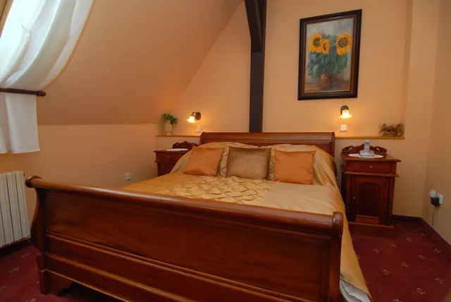 غرفة سوبيريور بسرير كوين، Hotel Opera Prague 3/8