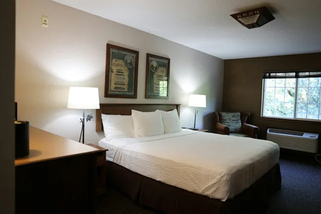 غرفة ديلوكس بسرير كينج لذوي الإعاقة، Stoney Creek Hotel La Crosse - Onalaska 1/1