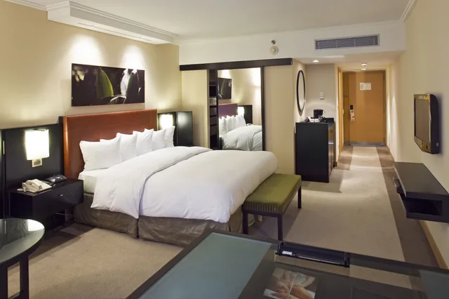 غرفة تنفيذية بسرير كوين، Hilton Buenos Aires 5/10