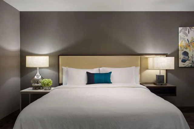 جناح بسرير كينج بغرفة نوم واحدة مع أريكة، Hilton Garden Inn Lubbock 1/2