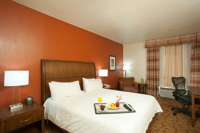 غرفة بسرير كينج لذوي الإعاقة، Hilton Garden Inn Tulsa Airport 2/2