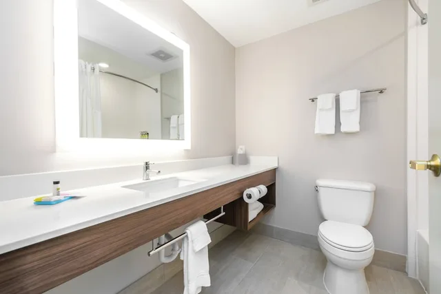 غرفة قياسية بسرير كينج، Holiday Inn Express Suites Lagrange 2/2
