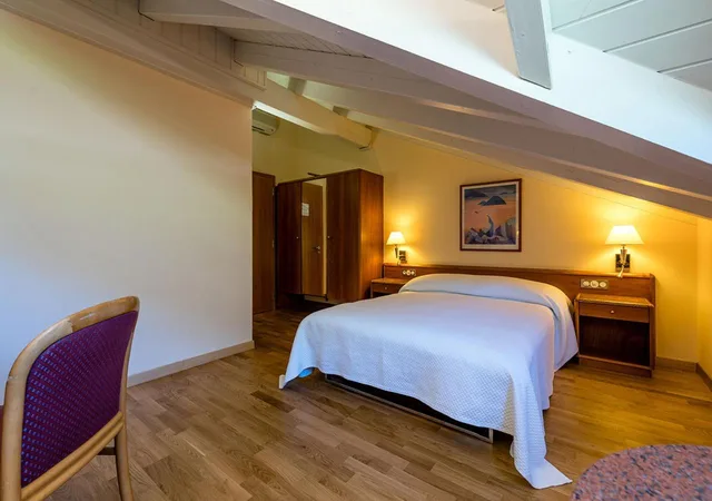 Room, Single Bed, Attic، Les Bains de Saillon 2/5