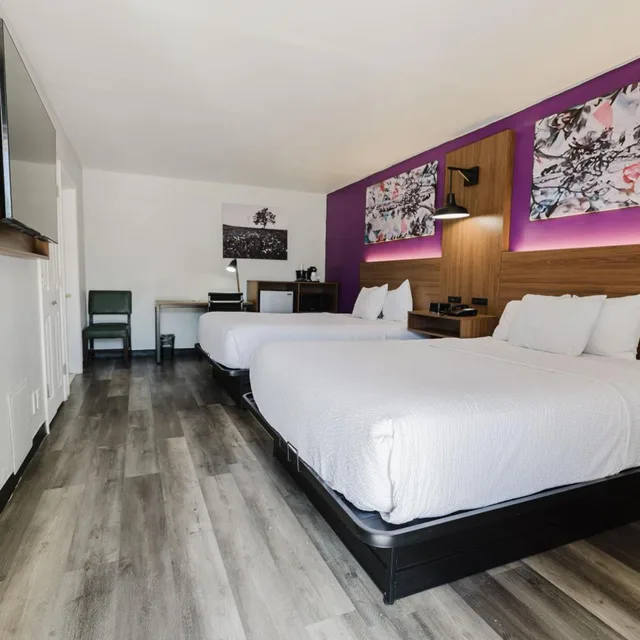 غرفة بسرير مزدوج لذوي الإعاقة، La Quinta Inn by Wyndham Amarillo Mid-City 1/9