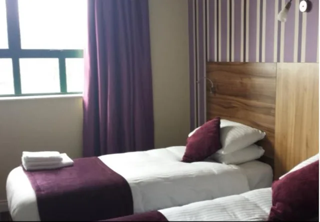 غرفة بسريرين منفصلين، Mourne Country Hotel 2/2