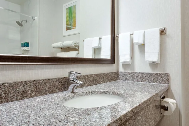 2 Rooms, Me, King Bed, Bathtub, Accessible، Drury Inn and Suites Greenville 2/2