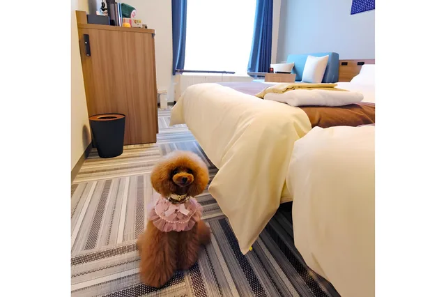 غرفة قياسية بسريرين منفصلين يُسمح فيها بالحيوانات الأليفة، Henn Na Hotel Laguna Ten Bosch 1/1