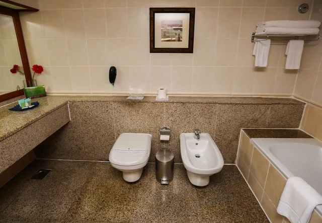غرفة تنفيذية بسريرين منفصلين، Ramee Royal Hotel 4/4