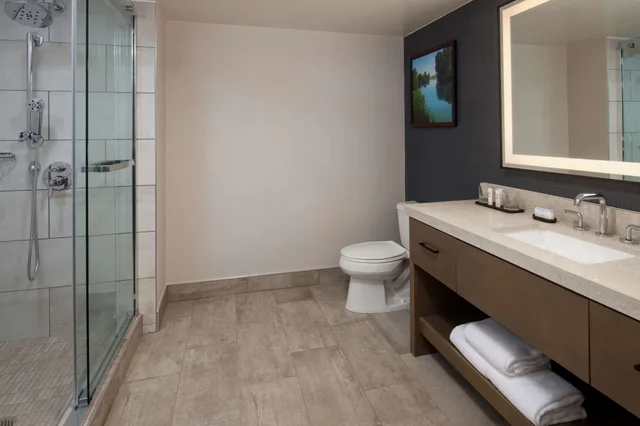 2 Rooms, Governor, Suite, King Bed, Corner، Embassy Suites by Hilton Sacramento Riverfront Promenade 6/8