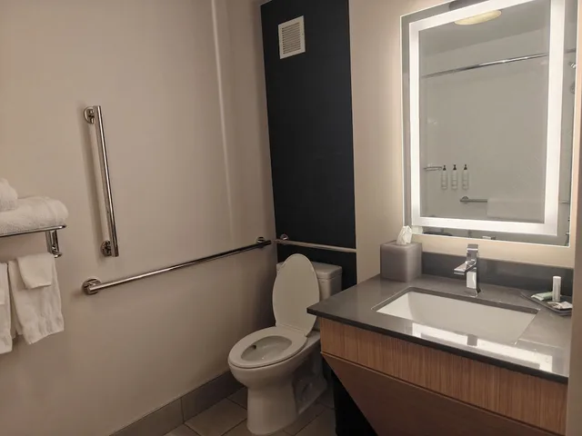 غرفة بسرير كينج لذوي الإعاقة، Comfort Inn Downtown Charleston 3/7