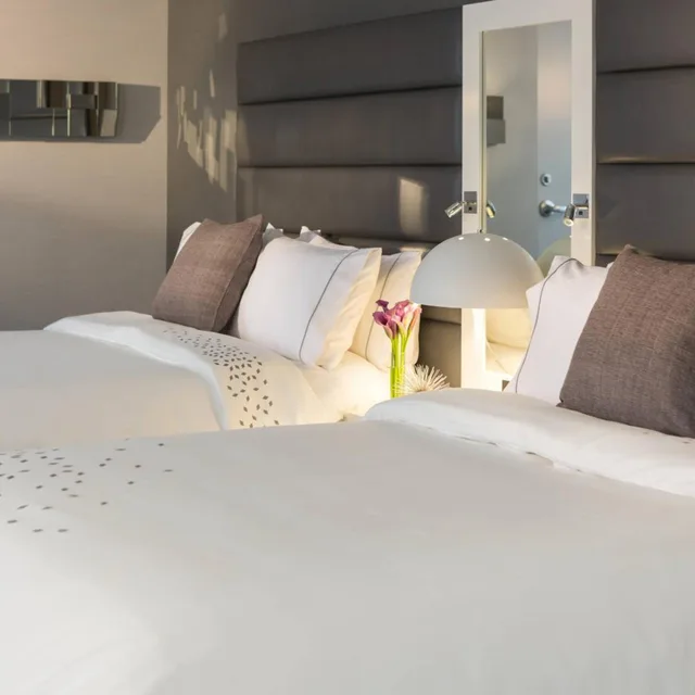 غرفة سيغنتشر بسرير كوين لذوي الإعاقة، Renaissance Albany Hotel 1/2