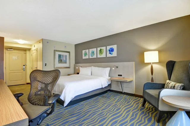 جناح ديلوكس بسرير كينج بغرفة نوم واحدة لذوي الإعاقة، Hilton Garden Inn Lake Buena Vista 3/4