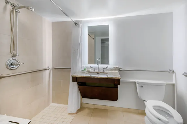 غرفة قياسية بسرير كينج لذوي الإعاقة، Holiday Inn Orlando Disney Springs Area 3/3