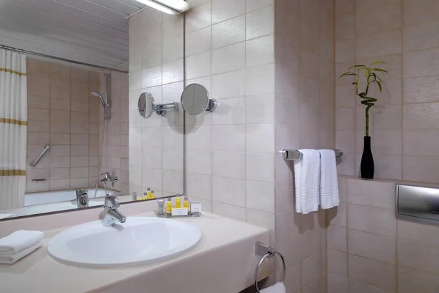 غرفة بسرير كينج، HEIDELBERG MARRIOTT HOTEL 3/7