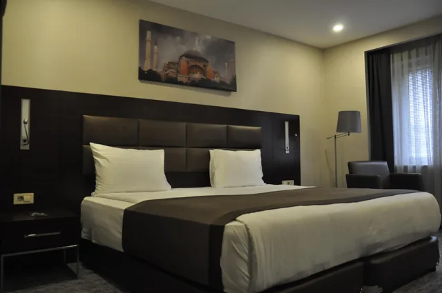 Classic, King Bed, Holiday Inn Gebze Istanbul Asia 1/2