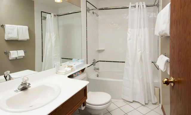 Standard, Queen Bed, WHISTLERS INN 3/3