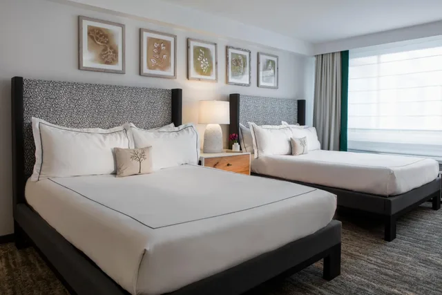 غرفة بريميير بسريرين كوين، Glover Park Hotel Georgetown 2/4