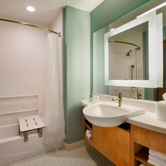 استوديو بسرير كينج مع أريكة بحوض استحمام لذوي الإعاقة، Springhill Suites Houston Downtown/Convention Center 4/4