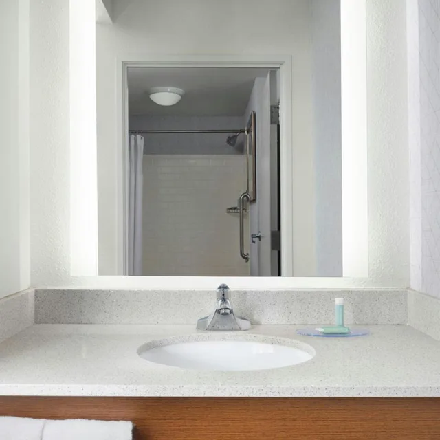 استوديو بسرير كينج بإطلالة على المدينة مع أريكة في طابق مرتفع، Springhill Suites Chicago Downtown River North 5/10