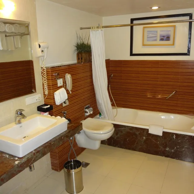 جناح تنفيذي، Fortune Inn Sree Kanya Visakhapatnam 7/8